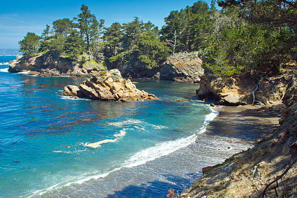 Whaler's Cove Whaler's Cove near Carmel south of Monterey Bay, California. point lobos state reserve stock pictures, royalty-free photos & images