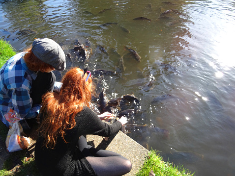 Photo showing a couple of young children (boy and girl / brother and sister siblings) feeding some large brown ghost koi and common carp in a lake.  The fish are splashing around as they are feeding (a feeding frenzy), causing the surface of the pond to sparkle in the sunshine.