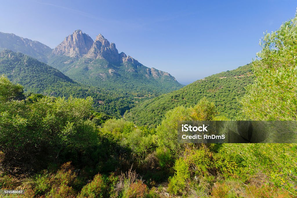 Spelunca Gorge View of the Gorges de Spelunca, in Corsica, France Corsica Stock Photo