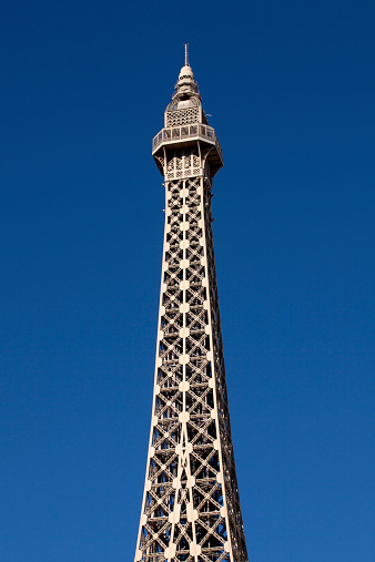 A Monochrome picture of the Eiffel Tower, symbol of Paris and France, sorrounded by tree branches