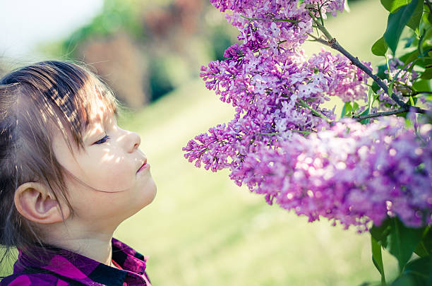 3 years old girl in park with lilacs