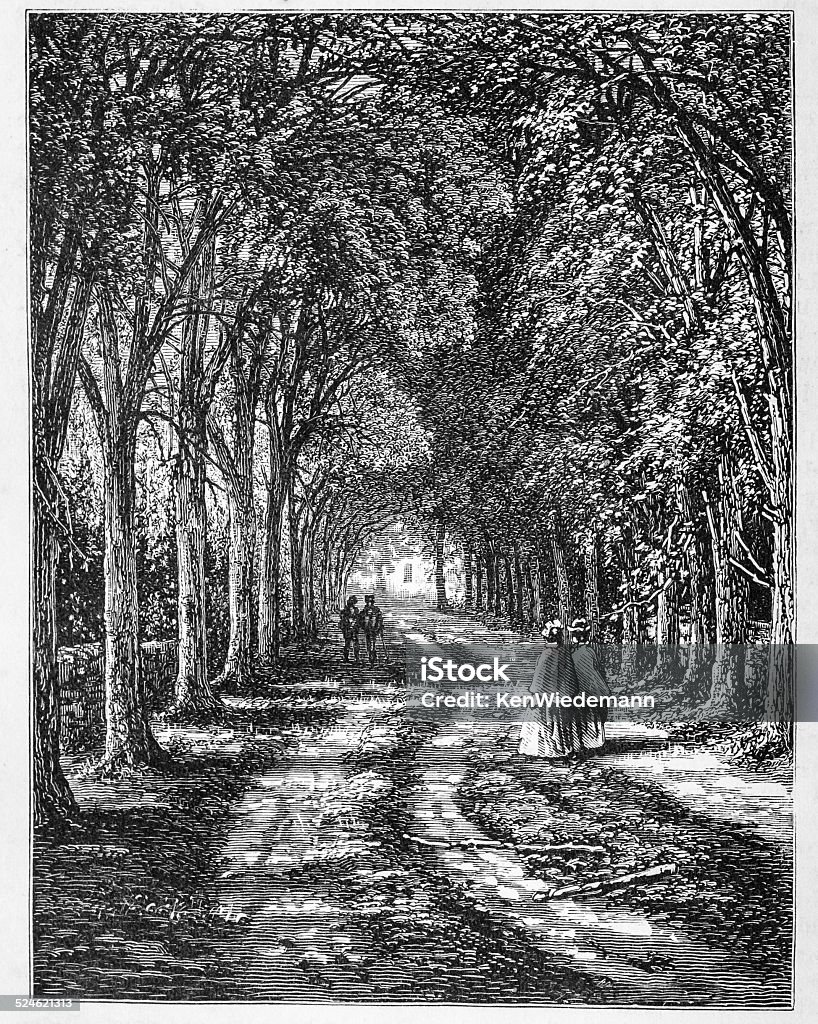 Approach to Black Hall 19th century illustration of  people strolling a shady tree lined roadway as they approach the village of Black Hall in the town of Lyme, Connceticut.   From a February 1876 copy of Harper's New Monthly Magazine. Connecticut Stock Photo