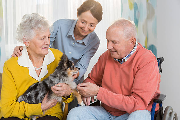 Pet Therapy – Senior couple with little dog Pet Therapy – Senior couple with little dog animal therapy stock pictures, royalty-free photos & images