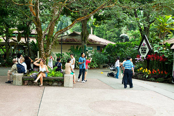 caucasica asiatica i turisti in giardino botanico - editorial asia singapore tourist foto e immagini stock