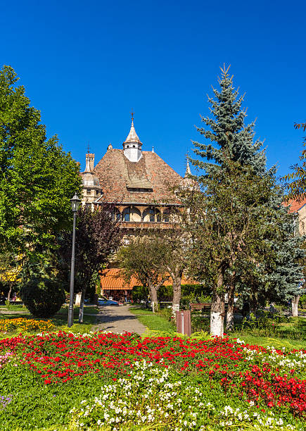 istock Flowerbed in Sighisoara, Romania 524621945