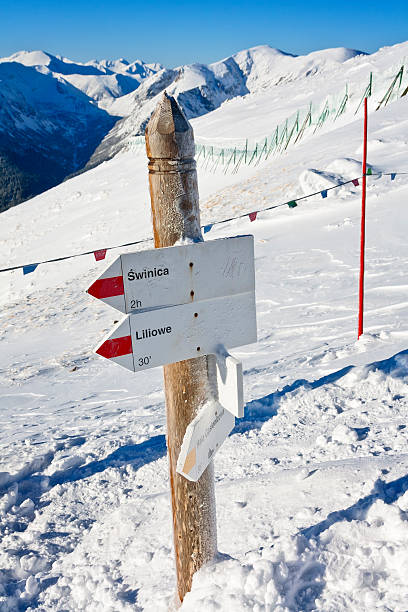 istock Avalanche danger in the Tatra Mountains 524622211