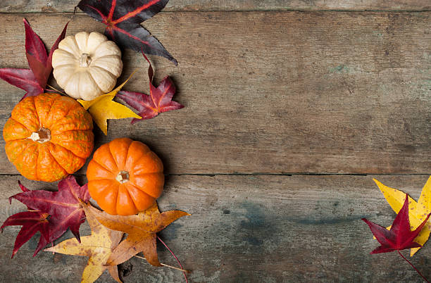 istock Autumn leaves and pumpkins 524622977