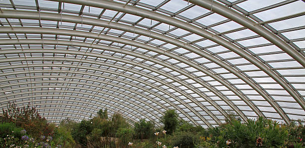 istock Giant Greenhouse Roof 524623815