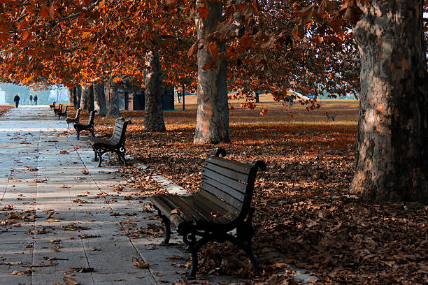 Belgrade Fall 2,400+ Belgrade Forest Stock Photos, Pictures & Royalty-Free Images ...