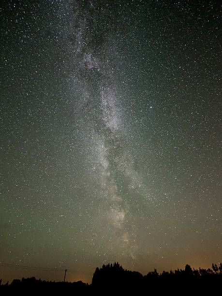 istock The Milky Way and some trees. 524649415
