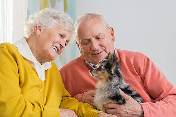 Senior couple with little dog