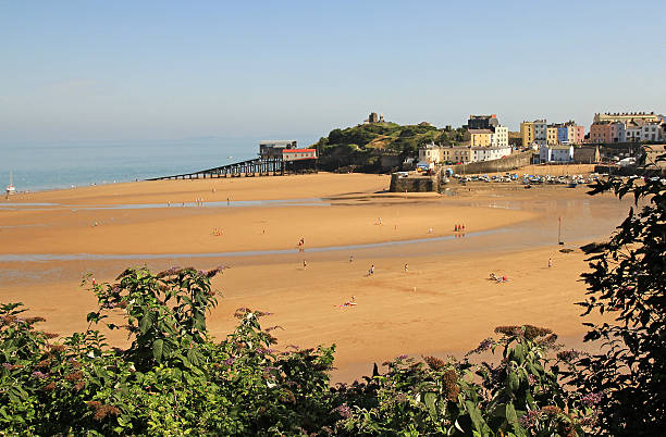 istock view of Tenby Harbour 524650595