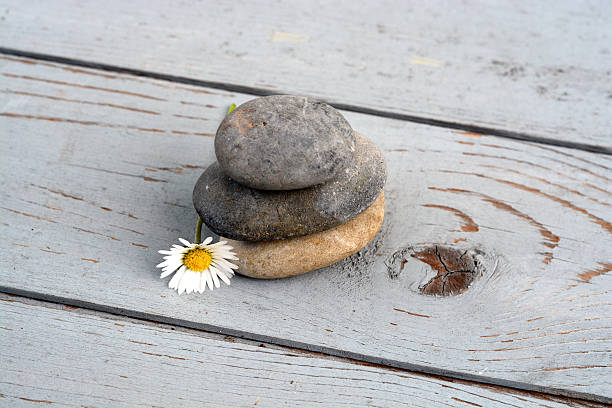 istock three zen stones with a daisie on old wood 524651403
