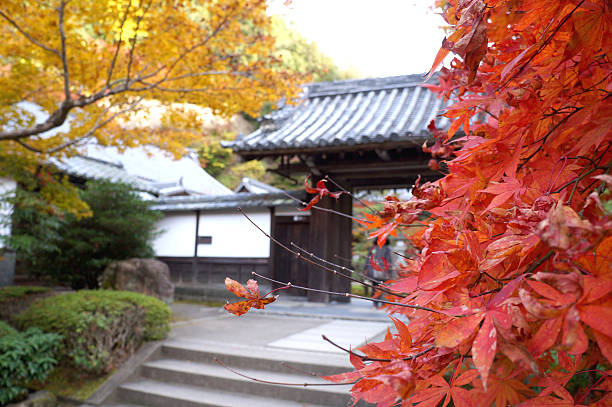 秋の落ち葉に南禅寺、京都 - 平安神宮 ストックフォトと画像