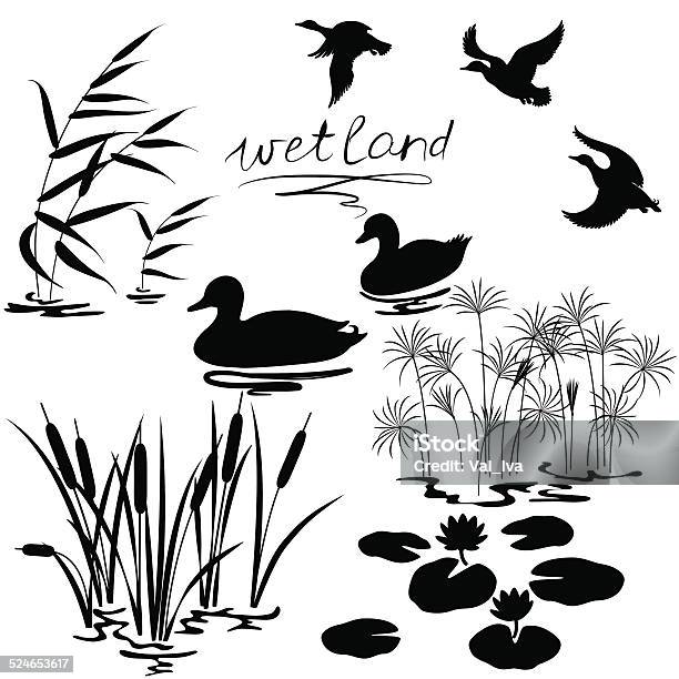 Wetland Plants And Birds Set Stock Illustration - Download Image Now - Duck - Bird, Swamp, In Silhouette