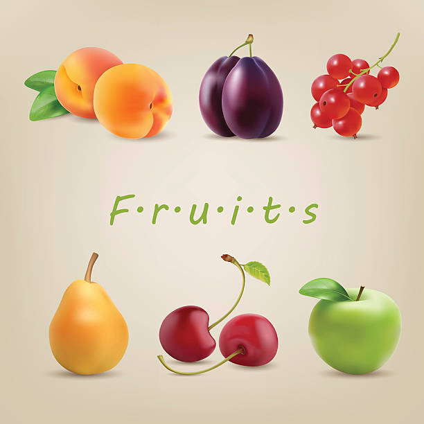 fruit icon set vector art illustration