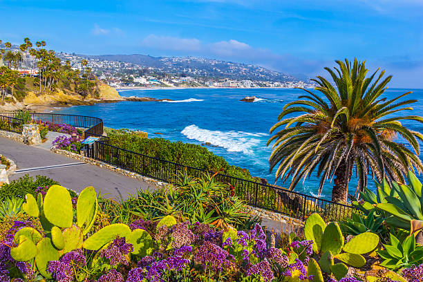 z widokiem na ocean w laguna beach wybrzeże w orange county, ca (p) - nobody rock coastline sea zdjęcia i obrazy z banku zdjęć