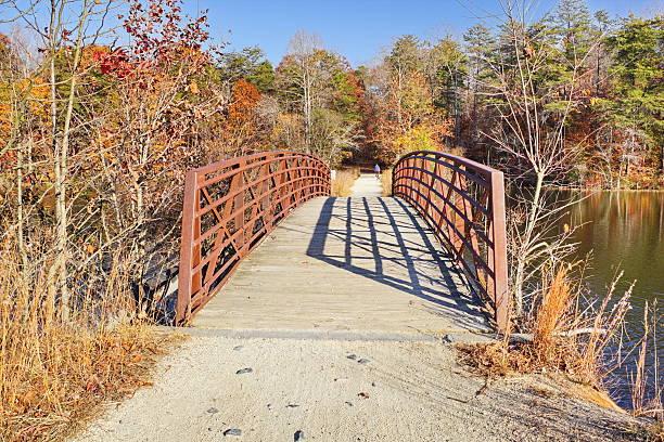 istock Late Fall on the recreational trail, North Carolina 524656013