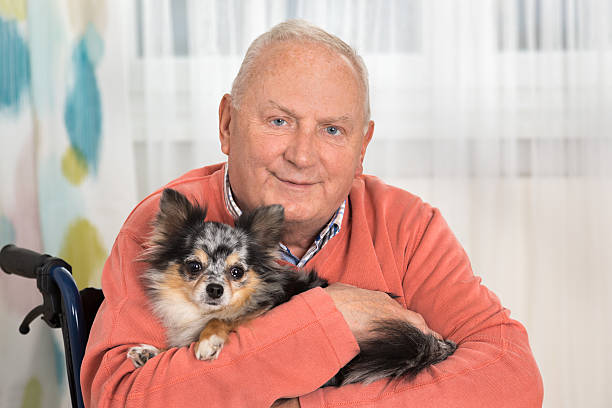 istock Senior man with wheelchair and dog 524656163