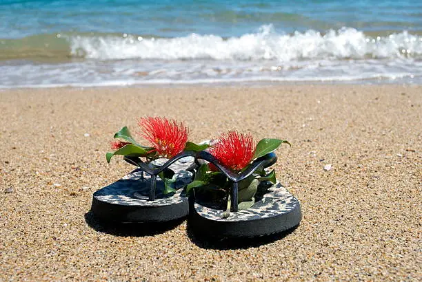 Photo of Kiwiana Christmas;  Jandals by the Sea