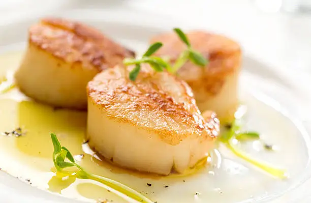 Fine Dining - Macro shot of seared scallops, olive oil, black pepper, and pea sprouts.  Please see my portfolio for other food and drink images.