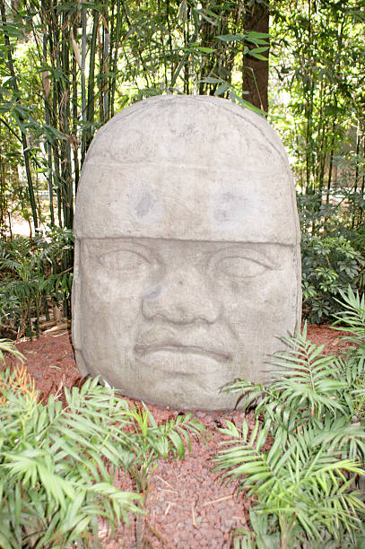 Olmec Colossal Head Country: Mexico olmec head stock pictures, royalty-free photos & images