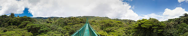 ponte suspensa na floresta de costa rica - monteverde cloud forest imagens e fotografias de stock