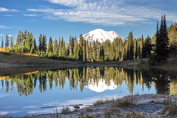 istock Morning at Tipsoo Lake, Washington 524688451