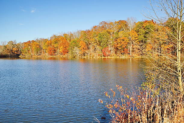 a fines del otoño vista al lago, kernersville salem, carolina del norte. - november tranquil scene autumn leaf fotografías e imágenes de stock