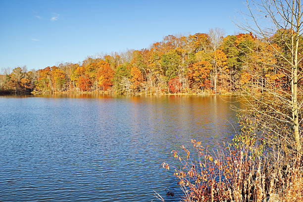 Late Fall Views around Salem Lake, Kernersville, NC. stock photo