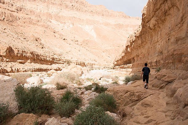 istock Hiking in stone desert middle east adventure 524691533