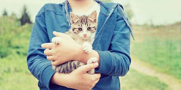 istock Child holding kitten outdoors 524694391