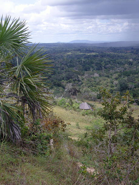 istock Shimba Hills Landscape Background, Kenya 524697082
