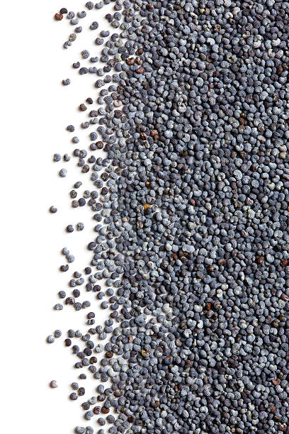 istock border of poppy seed 524698276