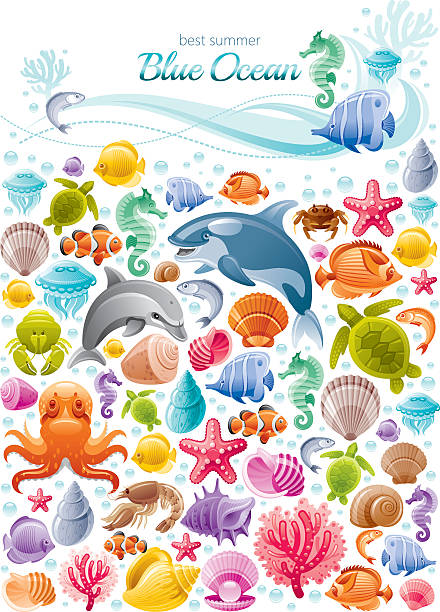 ilustraciones, imágenes clip art, dibujos animados e iconos de stock de vida marina colorido póster - dolphin animal sea underwater