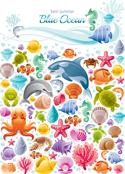 바다빛 생은 색상화 포스터 - sea life stock illustrations