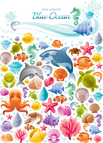 Sea life colorful poster