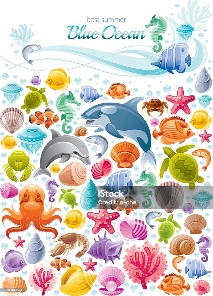 Sea life colorful poster Sea Life stock vector