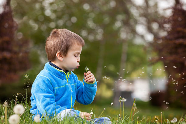 istock Happy child blowing dandelion outdoors in spring park 524701058