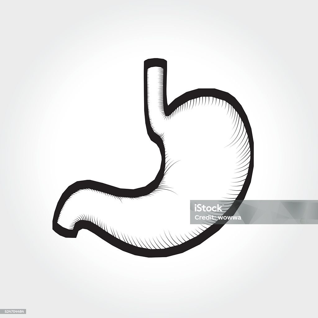 Желудок карандашом