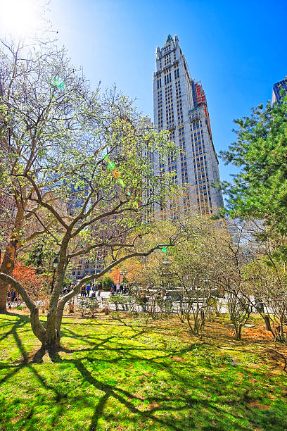 istock Trees n City Hall Park in Lower Manhattan 524704486