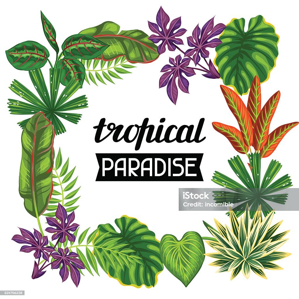 Bastidor con plantas tropicales y hojas. Imagen para publicidad folletos - arte vectorial de Aire libre libre de derechos