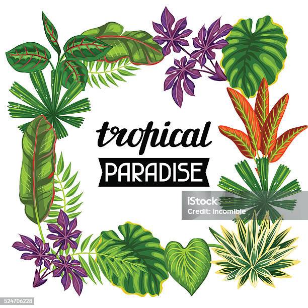 Ilustración de Bastidor Con Plantas Tropicales Y Hojas Imagen Para Publicidad Folletos y más Vectores Libres de Derechos de Aire libre