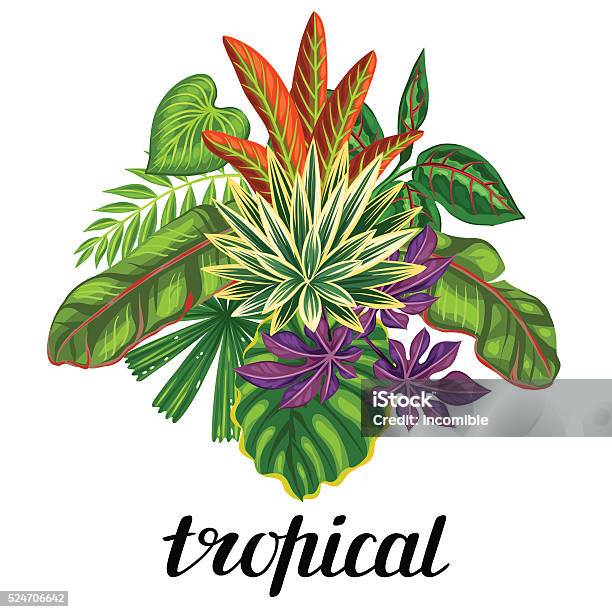 Ilustración de Hermoso Fondo Con Plantas Tropicales Y Hojas Imagen Para Publicidad y más Vectores Libres de Derechos de Aire libre