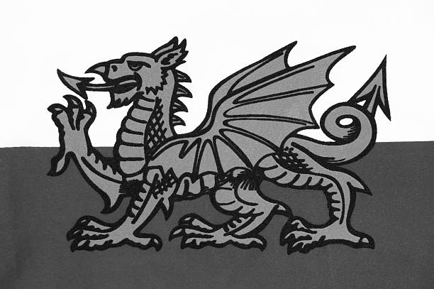 bandeira do país de gales - welsh culture wales welsh flag dragon imagens e fotografias de stock