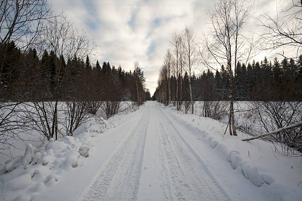 istock One-Lane Road through the Forest in Winter 524709572