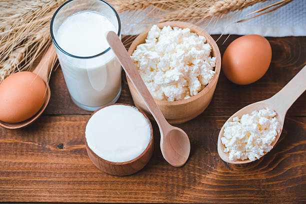 natural produtos caseiros: leite, queijo, leite e ovos - curd cheese food and drink spoon food - fotografias e filmes do acervo