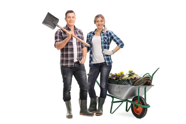 istock Woman holding a rake next to a wheelbarrow 524713350