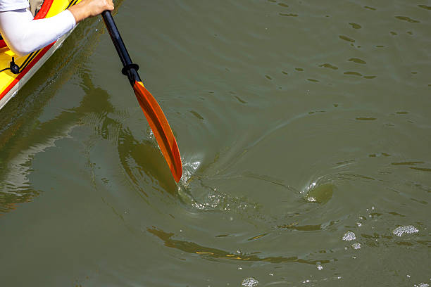 istock oar of yacht 524713862