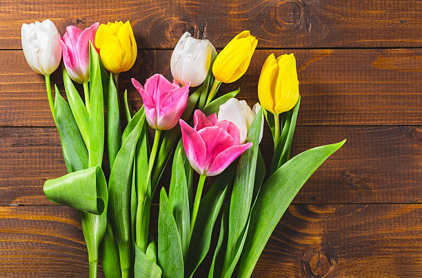 istock Bouquet Of Tulips 524715318